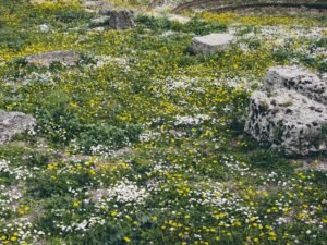 Westside Fire District Places $67-Per-$100,000 Levy Override on May Ballot to Expand Daily Firefighter Staffing